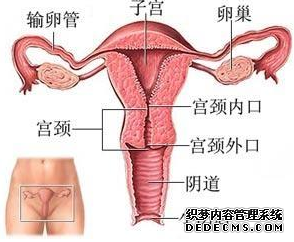 输卵管粘连会有什么危害 